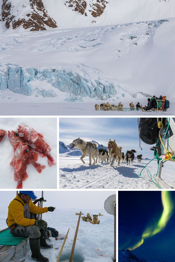 East Greenland Ski Touring, Mountaineering & Trekking Specialists